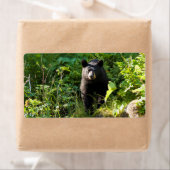 クロクマ ラベル (インサイチュ)