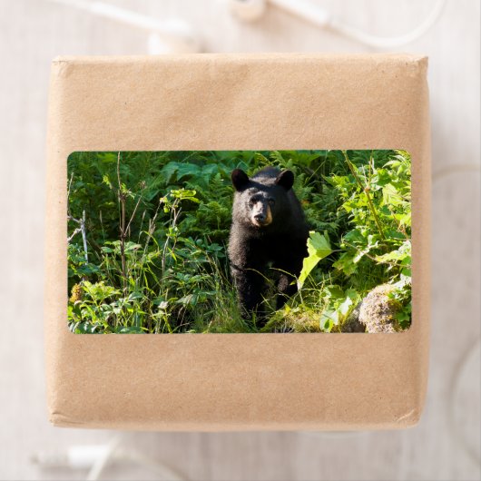 クロクマ ラベル (インサイチュ)