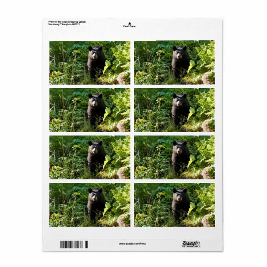 クロクマ ラベル (フルシート)