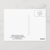 クロクマ - "Cubby - お誕生日おめでとう！" ポストカード (裏面)