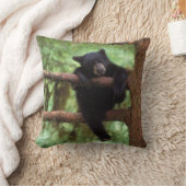 クロクマ、Ursus americanus、木に登る子グマ クッション (ブランケット)