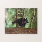 クロクマ、Ursus americanus、木に登る子グマ ジグソーパズル (横)