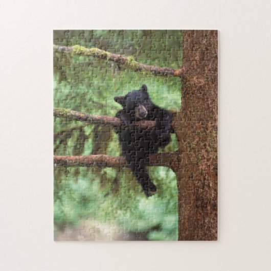 クロクマ、Ursus americanus、木に登る子グマ ジグソーパズル (縦)
