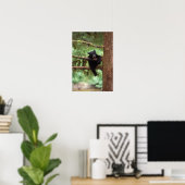 クロクマ, Ursus americanus, 木に登る子グマ ポスター (ホームオフィス)