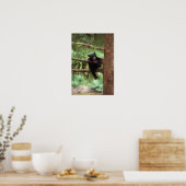 クロクマ, Ursus americanus, 木に登る子グマ ポスター (キッチン)
