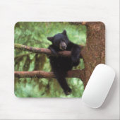 クロクマ, Ursus americanus, 木の中の子グマ マウスパッド (マウス)