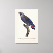 クロケーのオウム キャンバスプリント (正面)