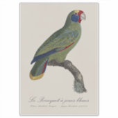 クロケーのジュエリーのブルー シール (正面)