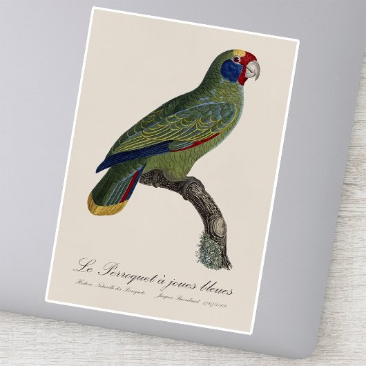 クロケーのジュエリーのブルー シール