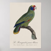 クロケーのジュエリーのブルー ポスター (正面)