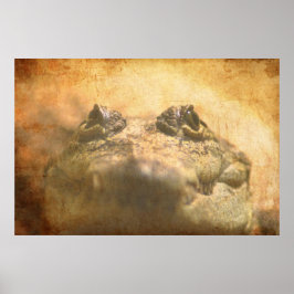 クロコジルスモレレスティイ閉じる ポスター