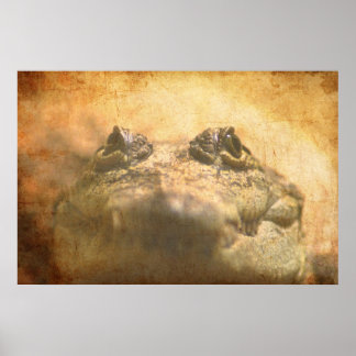 クロコジルスモレレスティイ閉じる ポスター