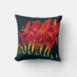 クロコソミアルシファーモンブレティアフローラ クッション