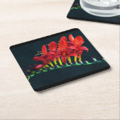 クロコソミアルシファーモンブレティアフローラ スクエアペーパーコースター (アングル)