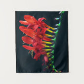 クロコソミアルシファーモンブレティアフローラ タペストリー (正面)