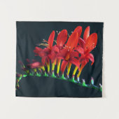 クロコソミアルシファーモンブレティアフローラ タペストリー (正面(横))