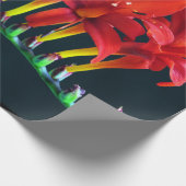 クロコソミアルシファーモンブレティアフローラ ラッピングペーパー (角)