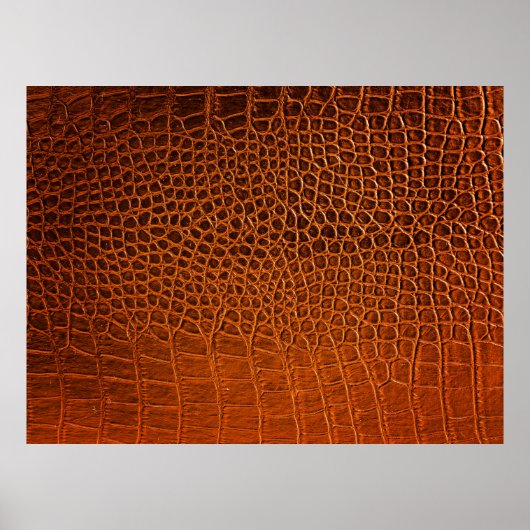 クロコダイルレザー ポスター (正面)