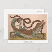 クロコダイルヴィンテージ動物学的スケッチ葉書 ポストカード (正面/裏面)