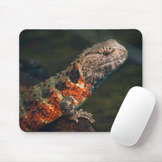 クロコディロウス マウスパッド (マウス)