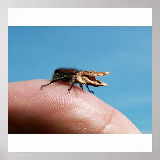 クロコバグのポスター ポスター (正面)