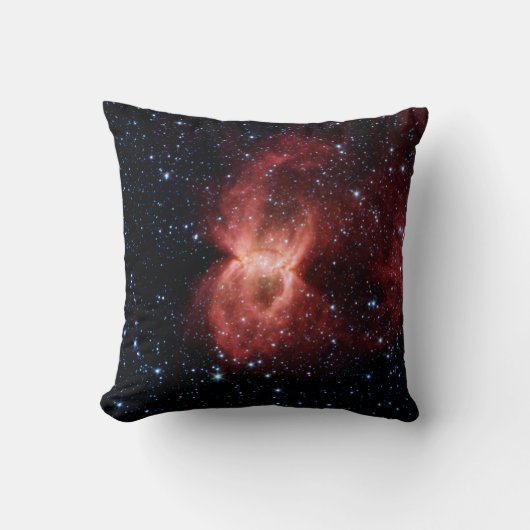 クロゴケグモの星雲の枕 クッション (正面)