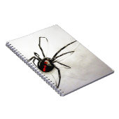 クロゴケグモ ノートブック (右側)