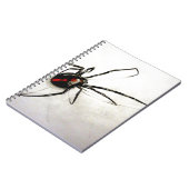 クロゴケグモ ノートブック (左側)