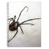 クロゴケグモ ノートブック (正面)
