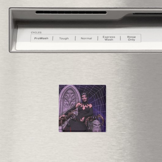 クロゴケグモ マグネット (インサイチュ (食洗機))