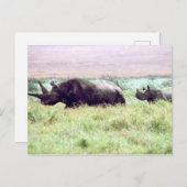 クロサイの雌と子牛をセレゲティに乗せる ポストカード (正面/裏面)