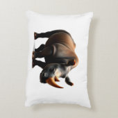 クロサイ アクセントクッション (裏面(縦))