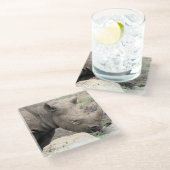 クロサイ ガラスコースター (アングル)