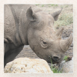 クロサイ ガラスコースター