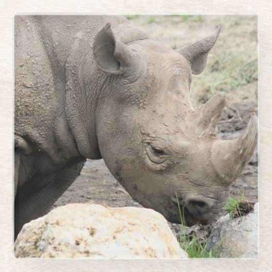 クロサイ ガラスコースター (正面)