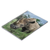 クロサイ |ケニア ノートブック (左側)