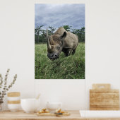 クロサイ |ケニア ポスター (キッチン)