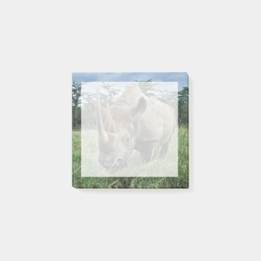 クロサイ |ケニア ポストイット (正面)