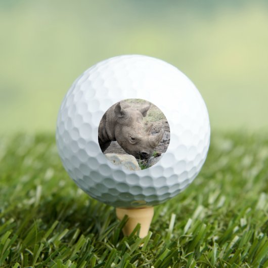 クロサイ ゴルフボール (インサイチュ 木)