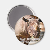 クロサイ マグネット (正面/裏面)