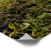 クロシズインアーリー春 ポスター (角)