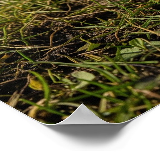 クロシズインアーリー春 ポスター (角)