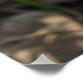 クロシースポスター ポスター (角)