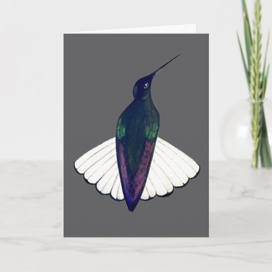クロジャコブイン hummingbird  カード (正面)