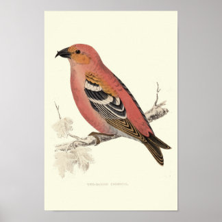 クロスカイ ポスター