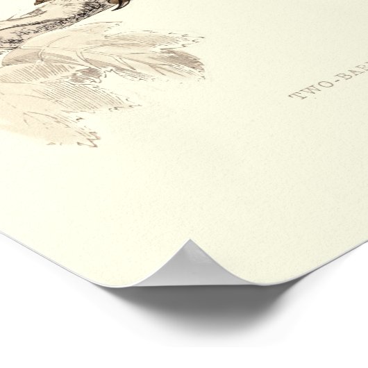 クロスカイ ポスター (角)