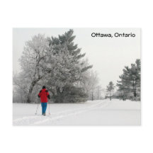 クロスカントリースキーを楽霜の降りたしむ