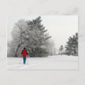 クロスカントリースキーを楽霜の降りたしむ ポストカード (正面)