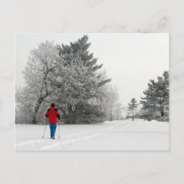 クロスカントリースキーを楽霜の降りたしむ ポストカード