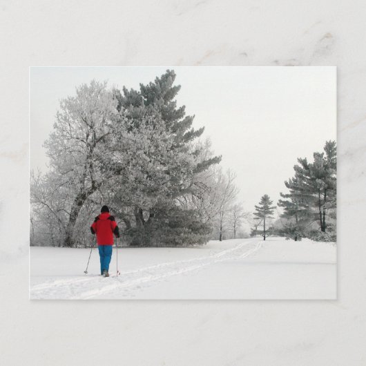 クロスカントリースキーを楽霜の降りたしむ ポストカード (正面)